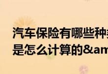 汽车保险有哪些种类&#63;其保险费又是怎么计算的&#63;