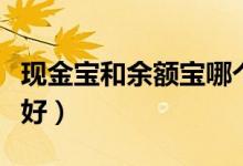 现金宝和余额宝哪个好（现金宝和余额宝哪个好）