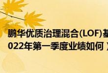 鹏华优质治理混合(LOF)基金有哪些投资组合（该基金经理2022年第一季度业绩如何）