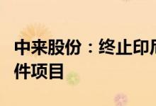 中来股份：终止印尼1GW电池和1GW电池组件项目