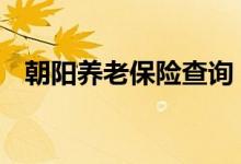 朝阳养老保险查询 朝阳个人养老保险查询