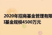 2020年招商基金管理有限公司基金总规模4830.18亿元QDII基金规模4500万元