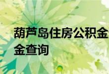 葫芦岛住房公积金查询 葫芦岛个人住房公积金查询