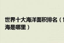 世界十大海洋面积排名（世界上10个最大的海洋面积最大的海是哪里）