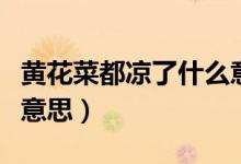 黄花菜都凉了什么意思啊（黄花菜都凉了什么意思）