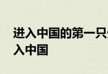 进入中国的第一只外国基金 基金什么时候进入中国
