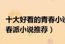 十大好看的青春小说（青春校园小说排行榜青春派小说推荐）