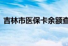 吉林市医保卡余额查询 吉林市医疗保险查询