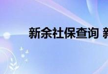 新余社保查询 新余个人社保卡查询