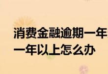 消费金融逾期一年多怎么还款 消费金融逾期一年以上怎么办