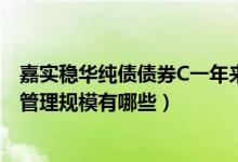 嘉实稳华纯债债券C一年来涨了多少（2020年基金所属公司管理规模有哪些）