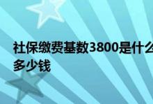 社保缴费基数3800是什么档次 交15年退休后领退休金能领多少钱 