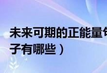 未来可期的正能量句子（未来可期的正能量句子有哪些）
