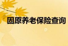 固原养老保险查询 固原个人养老保险查询