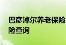 巴彦淖尔养老保险查询 巴彦淖尔个人养老保险查询