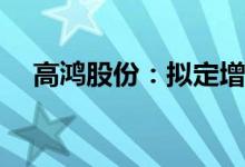 高鸿股份：拟定增募资不超过15.29亿元