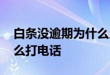 白条没逾期为什么用不了了 白条没逾期为什么打电话