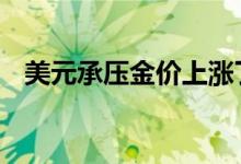 美元承压金价上涨了吗 美元跌金价上涨吗