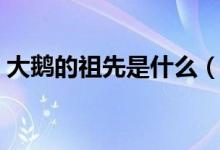 大鹅的祖先是什么（大鹅的祖先是什么动物）