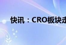 快讯：CRO板块走低药明康德跌近10%