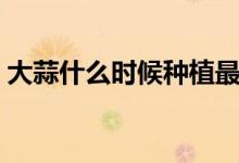 大蒜什么时候种植最佳（大蒜最佳种植时间）
