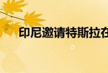 印尼邀请特斯拉在当地建电动汽车工厂