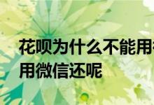 花呗为什么不能用微信还款 花呗为什么不能用微信还呢