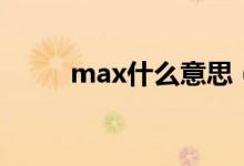 max什么意思（max意思是什么）