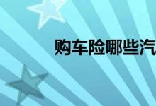 购车险哪些汽车保险种类重要？