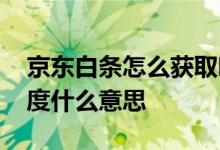 京东白条怎么获取临时额度 京东白条临时额度什么意思