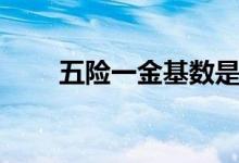 五险一金基数是什么意思 如何确定 