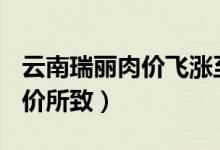 云南瑞丽肉价飞涨至100元（由于商家哄抬物价所致）