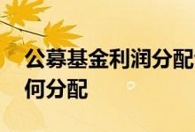 公募基金利润分配包括哪些 公募基金利润如何分配