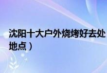 沈阳十大户外烧烤好去处（沈阳室外烧烤场地沈阳自助烤串地点）