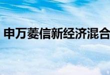 申万菱信新经济混合（310358）持有人结构