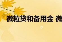 微粒贷和备用金 微粒贷和备用金有关系吗