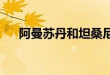 阿曼苏丹和坦桑尼亚总统举行正式会晤