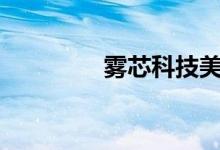 雾芯科技美股盘前涨超6%