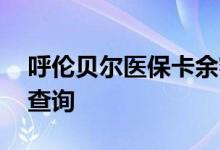 呼伦贝尔医保卡余额查询 呼伦贝尔医疗保险查询