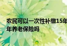 农民可以一次性补缴15年养老金吗 农民可以一次性补缴15年养老保险吗
