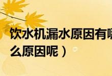 饮水机漏水原因有哪些（饮水机出水漏水是什么原因呢）