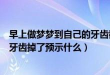早上做梦梦到自己的牙齿都掉了说明什么（做梦梦到自己的牙齿掉了预示什么）