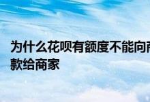 为什么花呗有额度不能向商家付款 为什么花呗有额度不能付款给商家