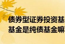 债券型证券投资基金是什么 债券型证券投资基金是纯债基金嘛