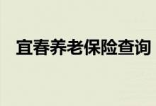 宜春养老保险查询 宜春个人养老保险查询