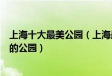 上海十大最美公园（上海最美的公园有哪些上海风景最漂亮的公园）