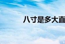 八寸是多大直径（八寸是多大）