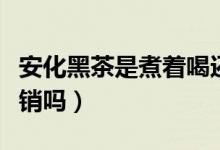 安化黑茶是煮着喝还是泡着喝（安化黑茶是传销吗）