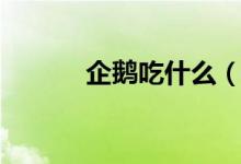 企鹅吃什么（企鹅吃什么食物）