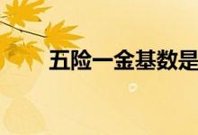 五险一金基数是什么意思 怎么确定 